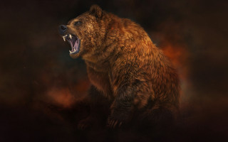 Brown bear open mouth furry - mouth wide open free wallpaper