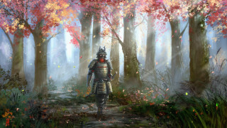Armor forest path autumn sunset - the center free wallpaper