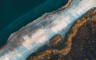 Aerial beach water shore trees - sandy free wallpaper