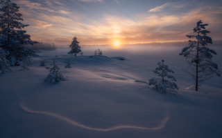 Snowy landscape trees sunset trail - a trail free wallpaper