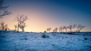 Snowy field trees sunset mountains - a snowy field free wallpaper