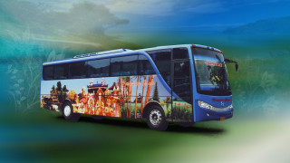 Bus city image parked grass - a bus free wallpaper