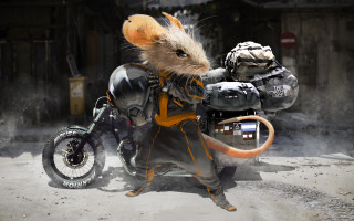 Rat motorcycle helmet furry cyberpunk - alejandro burdisio free wallpaper