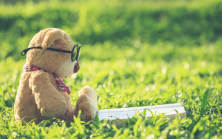 Teddy bear glasses reading in - summer free wallpaper
