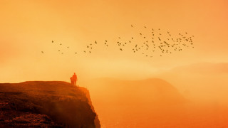 Cliff bird sunset dusk mountain - the cliff free wallpaper