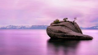 Rock plant lake mountains surreal - a plant free wallpaper