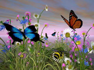 Field flowers butterflies sunset pink - over them free wallpaper