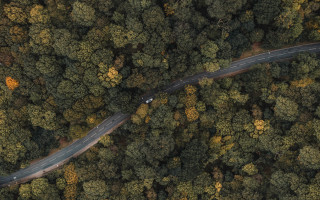 Winding road forest car truck - the road free wallpaper