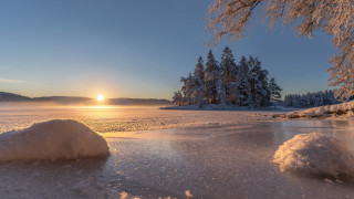Sunset frozen lake snow trees - lake free wallpaper