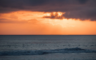 Sunset ocean boat birds sky - evaline ness free wallpaper