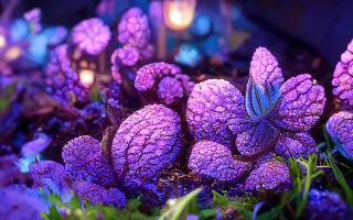 Purple plant butterfly candle blossoms - environment free wallpaper