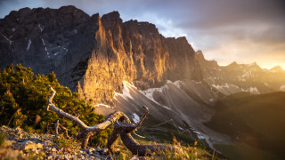 Mountain tree sunset city fire - carl critchlow free wallpaper