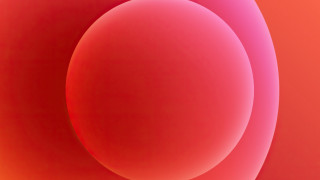 Red pink background circles full - the top of the image free wallpaper