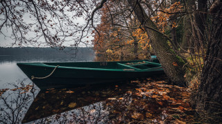 Green boat water tree autumn - german romanticism free wallpaper for desktop