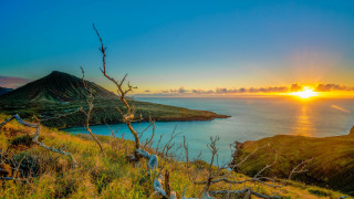 Sunset mountain water tree forefront - a sunset over a body of water free wallpaper for desktop