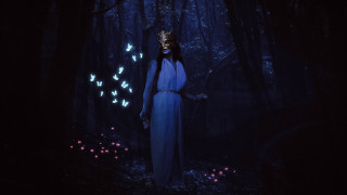 Woman blue dress forest butterflies - brooke shaden free wallpaper