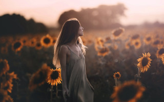 Woman sunflowers autumn blurry dress - brooke shaden free wallpaper