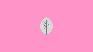 Pink leaf minimalist vector illustration - free minimalism wallpaper
