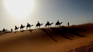 Camel riders desert group adventure - the desert free wallpaper