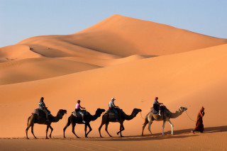 Camel riders desert group adventure 3 - the desert free wallpaper