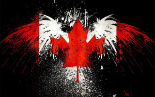 Canadian flag wings painted red - derek chittock free wallpaper