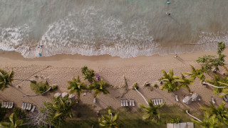 Beach people trees water tiltshift - andrew boog faithfull free wallpaper