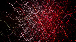 Red white light black pattern - a pattern of lines free wallpaper