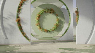 Circular sculpture green plant white - a white wall behind free wallpaper