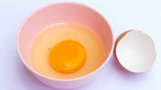 Egg pink bowl shell lightblue - blue background free wallpaper