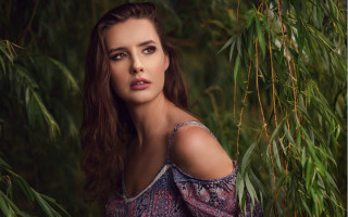 Woman long hair blue dress 5 - branch free wallpaper for desktop