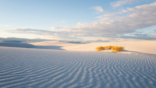 Desert trees clouds ocean sunset - a desert landscape free wallpaper