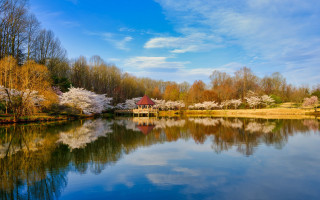 Lake trees redbuilding blue sky - free winter wallpaper