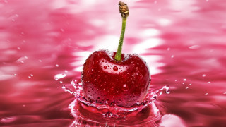 Cherry floating water pink background - a cherry free wallpaper