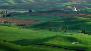 Green field church trees hill - free landscape wallpaper