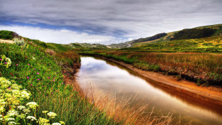 River hillside flower meadow mountains - free spring wallpaper