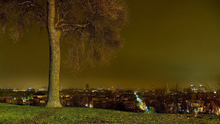 Tree grassy field city night - the building free wallpaper