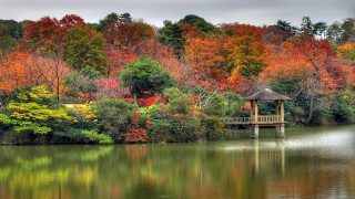 Gazebo lake trees fall bridge - fall free wallpaper