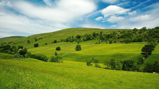 Lush green hillside trees blue - a lush green hillside free wallpaper