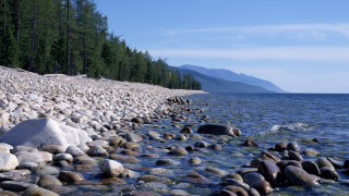 Rocky shore mountain forest water - tree and water free wallpaper