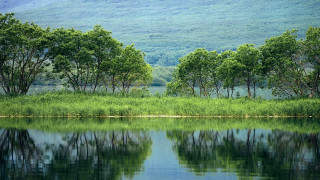 Lake forest mountain sky nature - lake free wallpaper for desktop