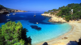 Beach boats trees sky landscape - the water and trees free wallpaper for desktop