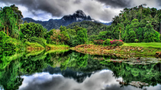 Lake forest mountain clouds lily - tree and a mountain in the background free wallpaper