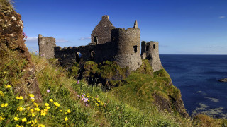 Castle cliff ocean wildflowers blue - wildflower free wallpaper
