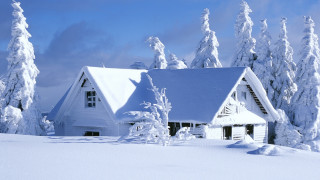 House snowy field trees blue 3 - tree free wallpaper