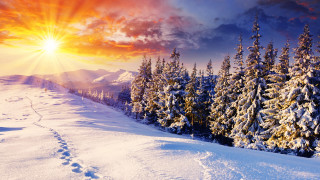 Snowy sunset trees trail hill - a snowy landscape free wallpaper for desktop