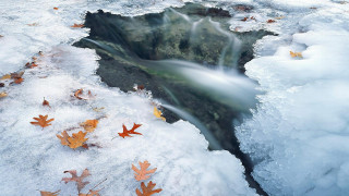 Winter waterfall leaves rocks autumn - ground next free wallpaper