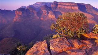 Rocky tree mountains sunset autumn - australian tonalism free wallpaper for desktop