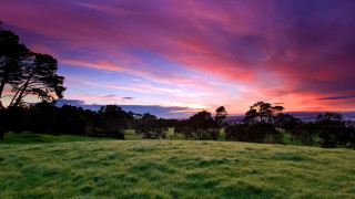 Sunset trees field mountains lake - anson maddock free wallpaper