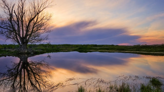 Tree lake reflection sunset autumn - a still lake free wallpaper