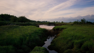 River forest hillside sunset nature - hillside free wallpaper